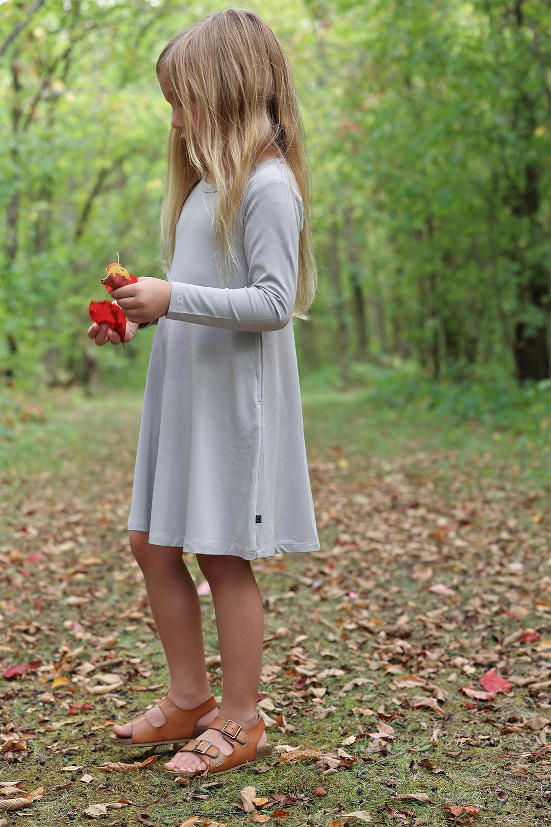 Pewter Long Sleeve Swing Dress